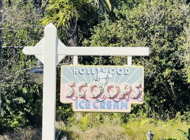 Hollywood Scoops